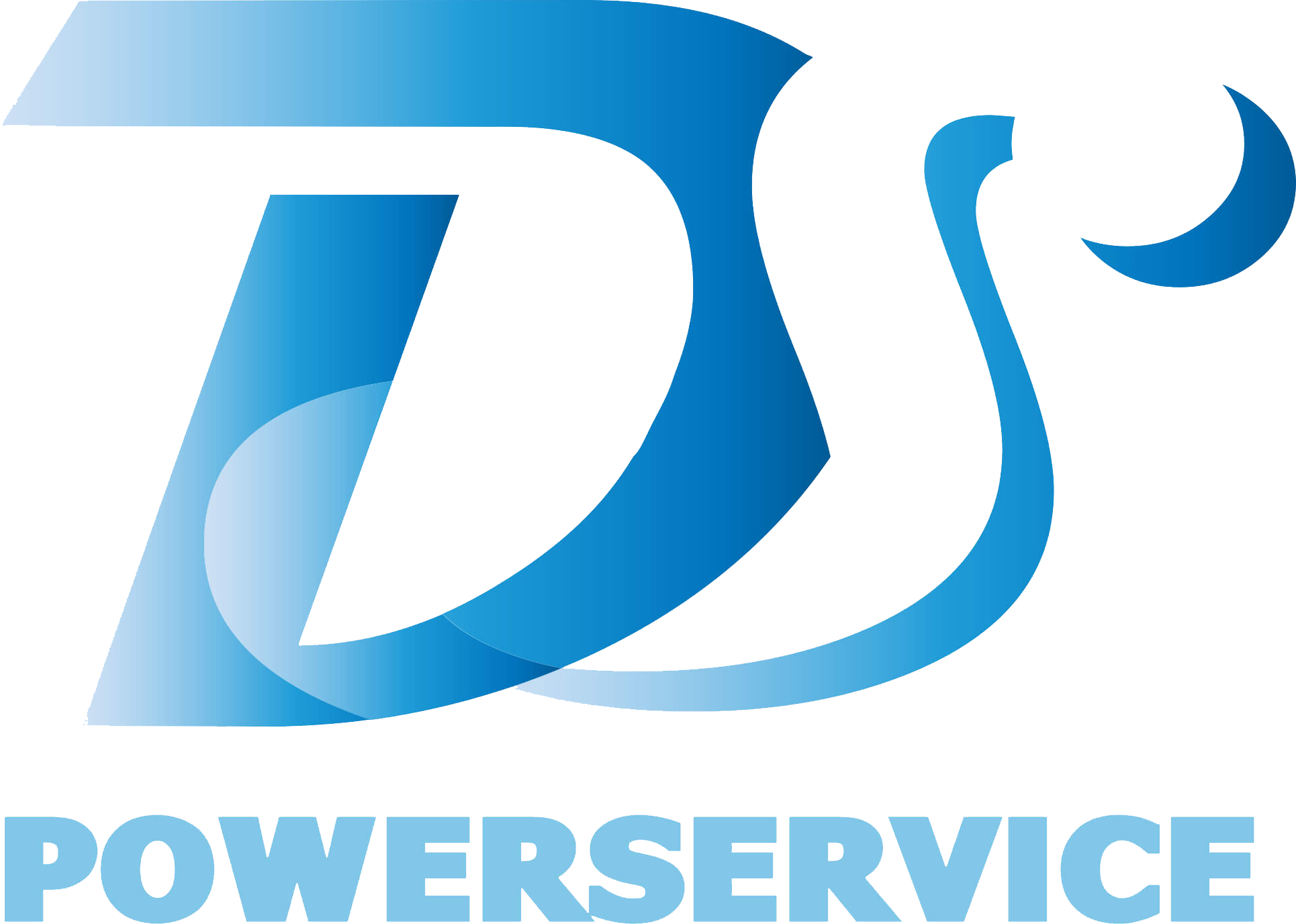 DS Powerservice Logo